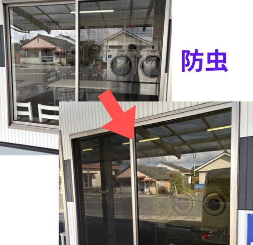 防虫施工