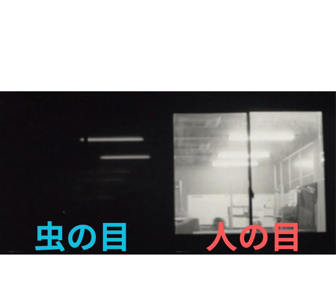 ダウンロード (2)