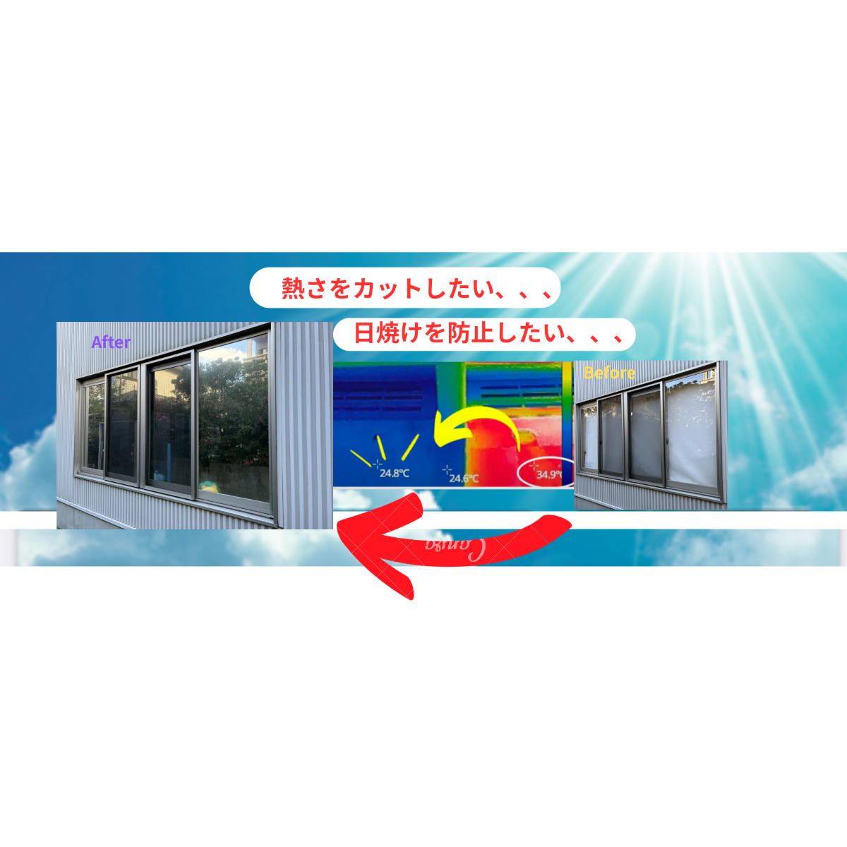 実績とお客様の声