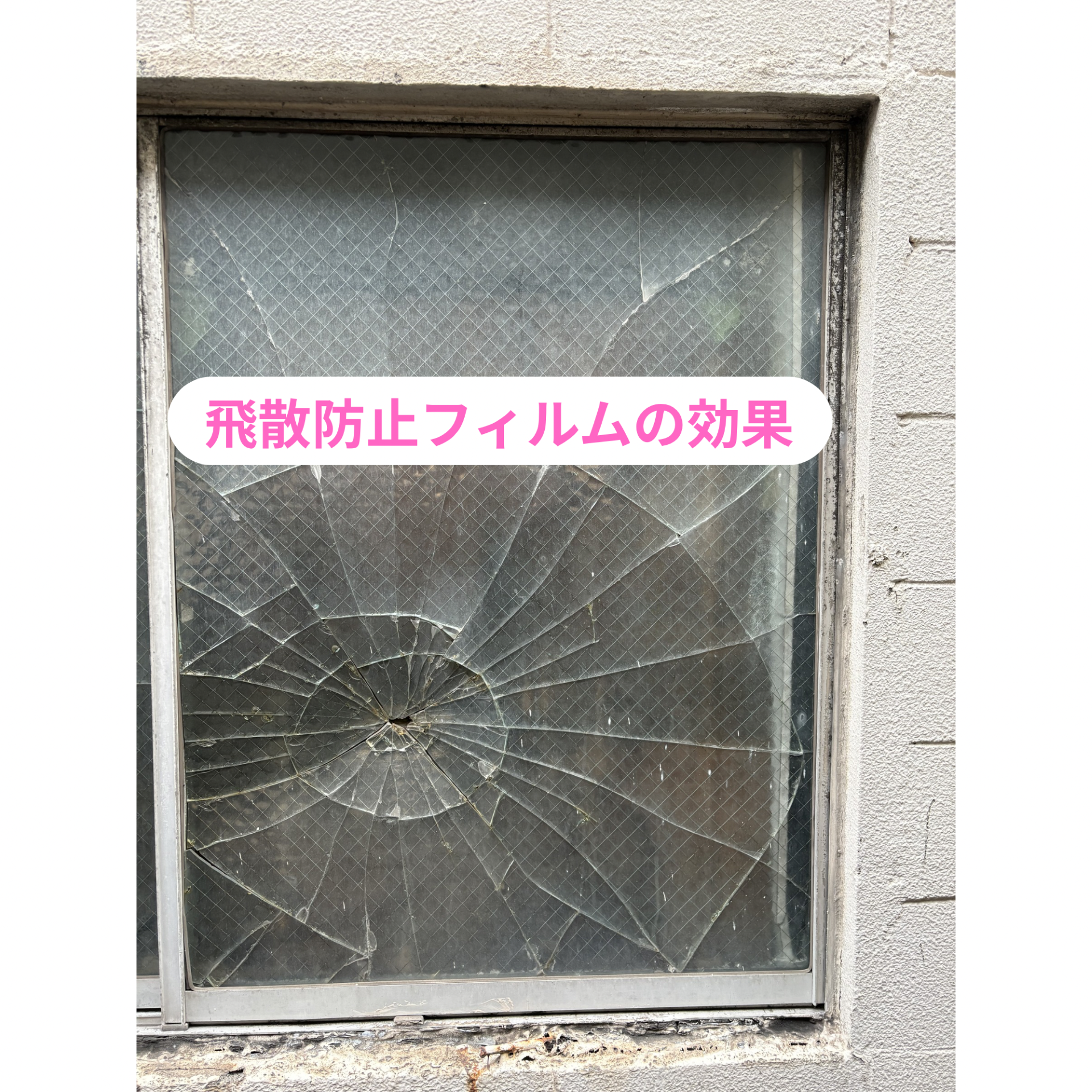 お客様の声と実績